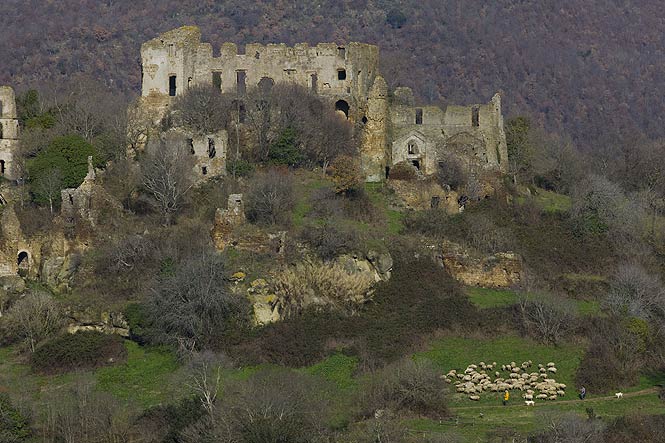 Canale Monterano